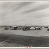 Auto camp north of Calipatria, California. Approximately eighty families from the Dust Bowl are camped here. They pay fifty cents a week. The only available work now is agricultural labor