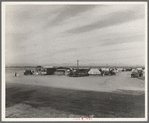 Auto camp north of Calipatria, California. Approximately eighty families from the Dust Bowl are camped here. They pay fifty cents a week. The only available work now is agricultural labor