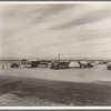 Auto camp north of Calipatria, California. Approximately eighty families from the Dust Bowl are camped here. They pay fifty cents a week. The only available work now is agricultural labor