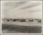 Auto camp north of Calipatria, California. Approximately eighty families from the Dust Bowl are camped here. They pay fifty cents a week. The only available work now is agricultural labor