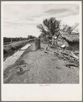 Ditch bank housing for Mexican field workers. Imperial Valley, California