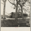 Ditch bank housing for Mexican field workers. Imperial Valley, California