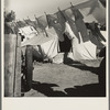 The incessant struggle for cleanliness amid dust and dirt. Imperial County, California