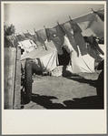 The incessant struggle for cleanliness amid dust and dirt. Imperial County, California