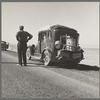 Southern California desert. Migrant from Chickasaw, Oklahoma, stalled on the desert in southern California with no money. He and his ten children are facing future in California