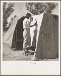 Woman in a California pea pickers' camp, mending the tent