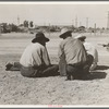 Oklahomans now working or looking for work in the pea harvests of California. Outskirts of Calipatria. Imperial Valley