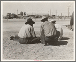 Oklahomans now working or looking for work in the pea harvests of California. Outskirts of Calipatria. Imperial Valley