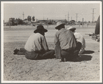 Oklahomans now working or looking for work in the pea harvests of California. Outskirts of Calipatria. Imperial Valley