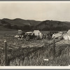 Pea pickers' camp near San Jose, California