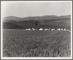 Migratory labor camp in the Santa Clara Valley. Near San Jose, California