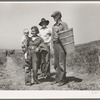 Drought refugees from Oklahoma at work in the pea fields near Nipomo, California