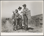 Drought refugees from Oklahoma at work in the pea fields near Nipomo, California