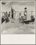 Washing facilities for families in migratory pea pickers' camp. Imperial Valley, California. Mostly Oklahomans and Texans