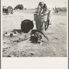 Laundry facilities in migratory labor camp. Imperial Valley, California, near Calipatria