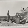 Young family just arrived from Arkansas camped along the road. Imperial Valley, California