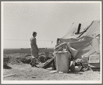 Young family just arrived from Arkansas camped along the road. Imperial Valley, California