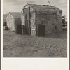 Migratory field worker's home on the edge of a pea field. The family lived here through the winter. Imperial Valley, California