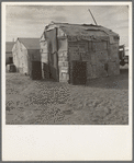 Migratory field worker's home on the edge of a pea field. The family lived here through the winter. Imperial Valley, California