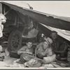 Oklahomans in potato pickers' camp near Shafter, California