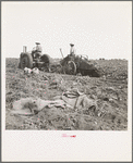 Mechanical potato digger near Shafter, California