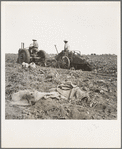 Mechanical potato digger near Shafter, California