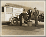 Plant quarantine inspector examining baggage brought into the United States by plane from Mexico. Glendale, California
