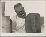 Henry Lotz closing the gate to the barns at the Midway City Dairy Association, near Santa Ana. Orange County, California. Seven families obtained a loan of seven thousand eight hundred fifty dollars from the Resettlement Administration payable in installments over a period of five years and and started a cooperative ...