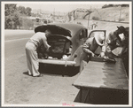 Inspection station on the California-Arizona state line maintained by the California Department of Agriculture to prevent the spread of plant pests. Yuma, Arizona