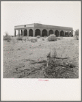 Aftermath of irrigation boom and subsequent collapse of cotton in California, 1921. Nyland, California