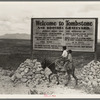 Sign entering Tombstone, Arizona