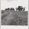 Drought refugee families from Oklahoma on road to Rosewell, New Mexico to chop cotton. Near Lordsburg, New Mexico