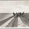 West Texas farmer replanting cotton. Had three inches of rain which washed out the first crop. Near Stanton, Texas