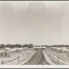 View of Resettlement Administration's part-time farms. Glendale, Arizona
