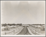 View of Resettlement Administration's part-time farms. Glendale, Arizona