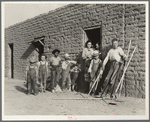 Drought refugee families are now mingling with and supplanting Mexican field laborers in the Southwest. Near Chandler, Arizona
