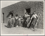 Drought refugee families are now mingling with and supplanting Mexican field laborers in the Southwest. Near Chandler, Arizona