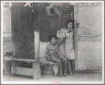 Children of Mexican cotton laborers. Casa Grande, Arizona