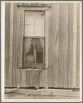 Detail of Texas Panhandle tenant farmer's house. He is now abandoning this house after twenty years effort to farm successfully