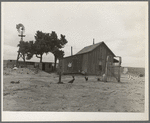Texas tenant farmer's house. He operated this farm on thirds and fourths; that is, he supplies teams and tools, feed and seed to the owner's land. He has made no crop for four years but survives because of government checks for participation in crop reduction program. He has farmed for twenty years but plans to abandon farm in fall of 1937
