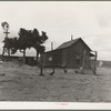 Texas tenant farmer's house. He operated this farm on thirds and fourths; that is, he supplies teams and tools, feed and seed to the owner's land. He has made no crop for four years but survives because of government checks for participation in crop reduction program. He has farmed for twenty years but plans to abandon farm in fall of 1937