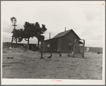 Texas tenant farmer's house. He operated this farm on thirds and fourths; that is, he supplies teams and tools, feed and seed to the owner's land. He has made no crop for four years but survives because of government checks for participation in crop reduction program. He has farmed for twenty years but plans to abandon farm in fall of 1937