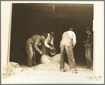 Farmers mixing grasshopper bait with assistance of the county supervisor. Oklahoma City, Oklahoma