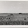 Abandoned tenant house and large-scale wheat field near Kincaid, Texas
