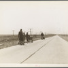 Flood refugees, four miles out of Memphis. Hall County, Texas