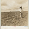 Wife of Texas tenant farmer. The wide lands of the Texas Panhandle are typically operated by white tenant farmers, i.e., those who possess teams and tools and some managerial capacity