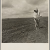Wife of Texas tenant farmer. The wide lands of the Texas Panhandle are typically operated by white tenant farmers, i.e., those who possess teams and tools and some managerial capacity