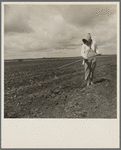 Wife of Texas tenant farmer. The wide lands of the Texas Panhandle are typically operated by white tenant farmers, i.e., those who possess teams and tools and some managerial capacity