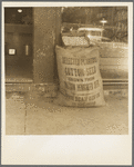 Front of general store in small cotton town. Texas