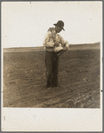 West Texas farmer prepares to sow millet